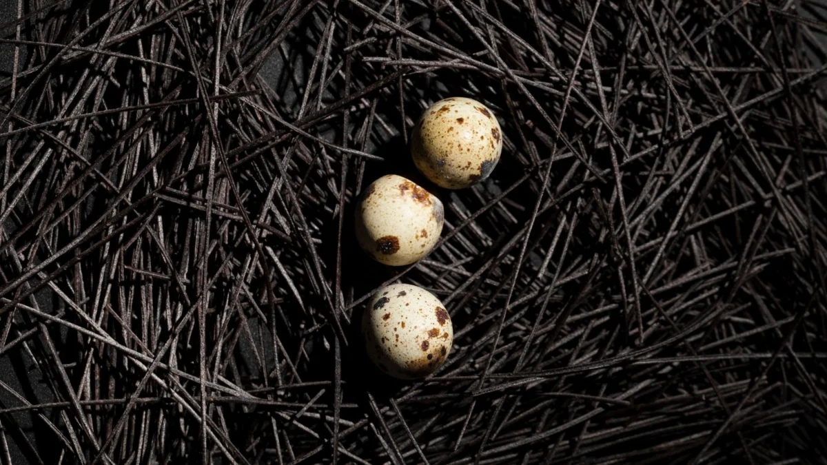 Scientists hatch chicks in 3D-printed eggs, a technology that could help de-extinction efforts