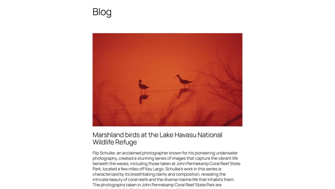 The Evolution of WordPress Design: A Deep Dive into the Twenty Twenty-Five Theme
