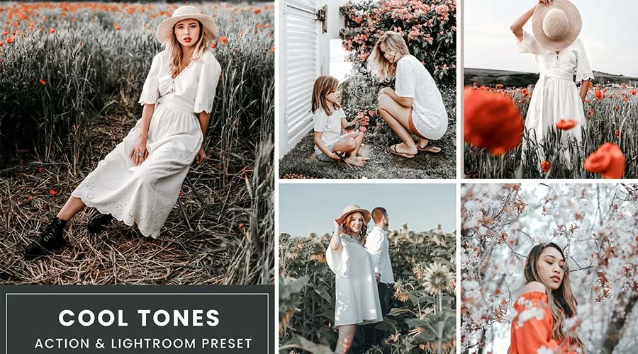 The Art of Color: Transforming Your Visual Narrative with Lightroom LUTs
