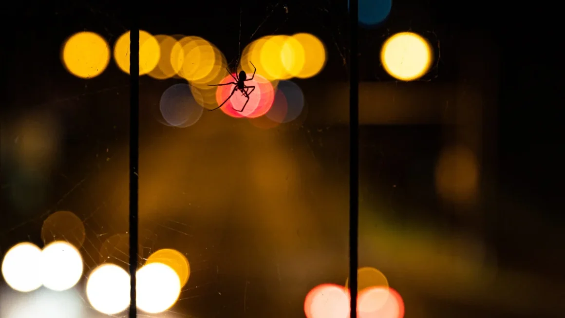 Texas Man Tied to Notorious "Scattered Spider" Cybercrime Group Pleads Guilty in $17.6M Extortion Scheme
