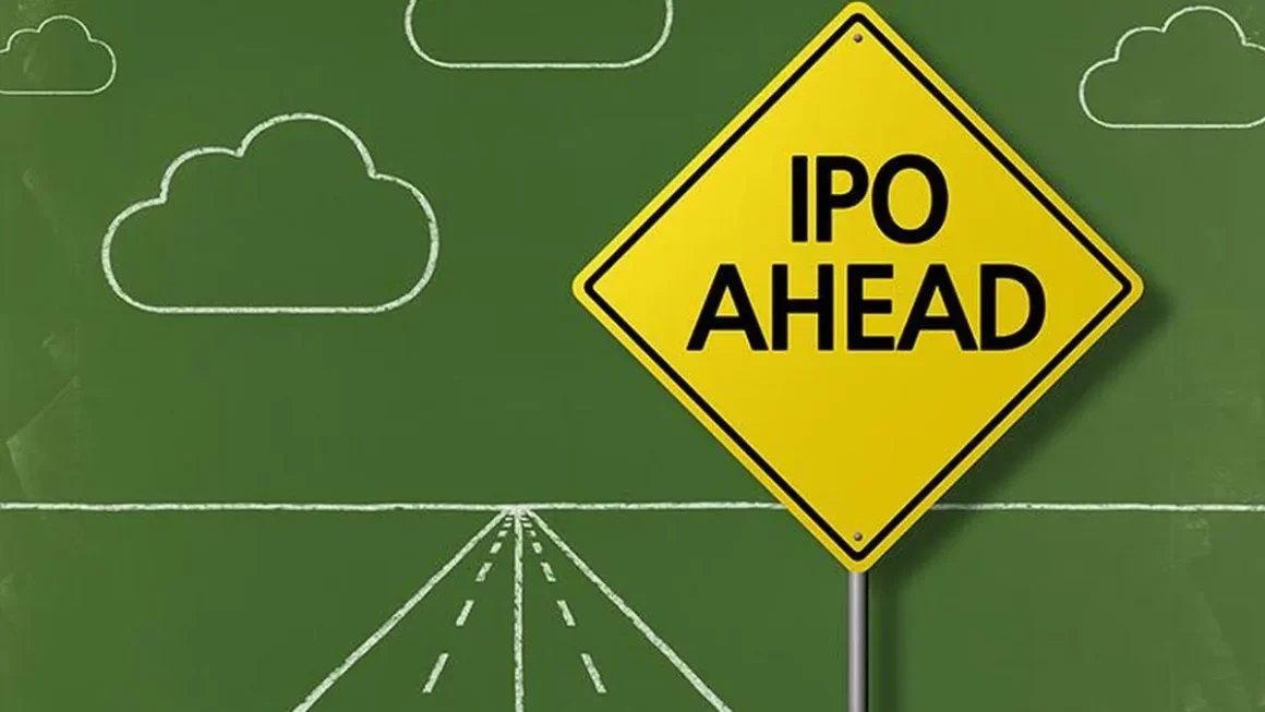 The IPO Gold Rush: Balancing Market Exuberance with Valuation Reality
