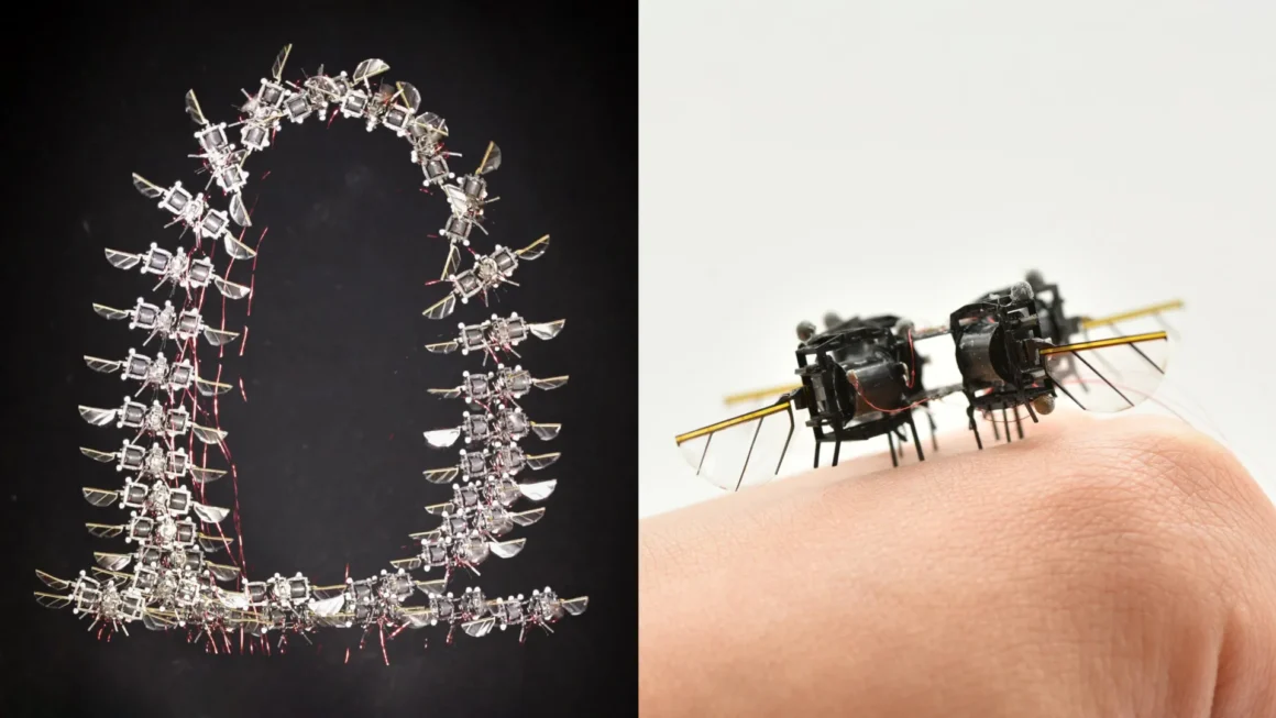 MIT Engineers Unlock Insect-Level Agility in Tiny Flying Robots With Breakthrough AI Controller